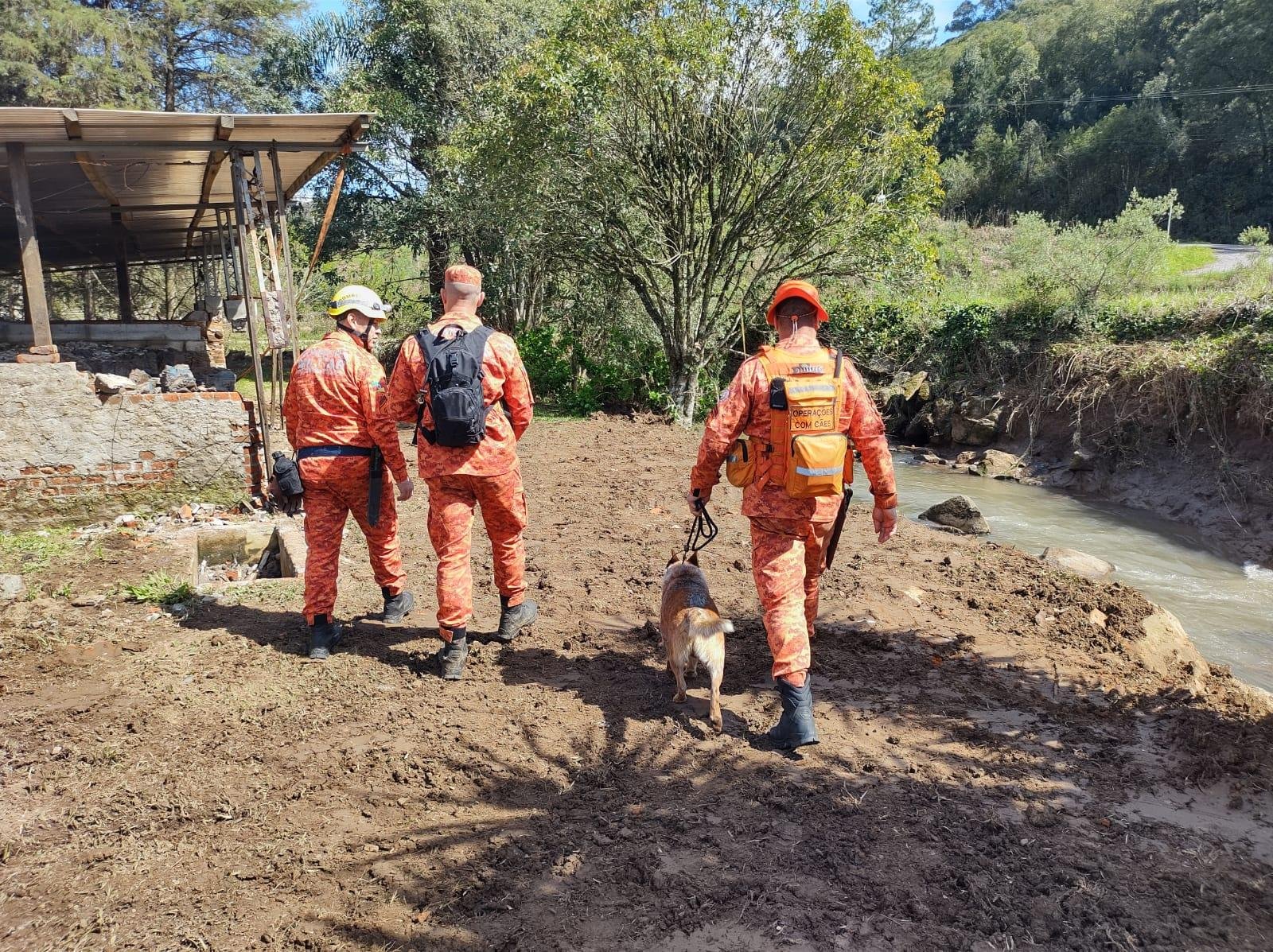 Das seis mortes, quatro foram registradas em Caxias do Sul