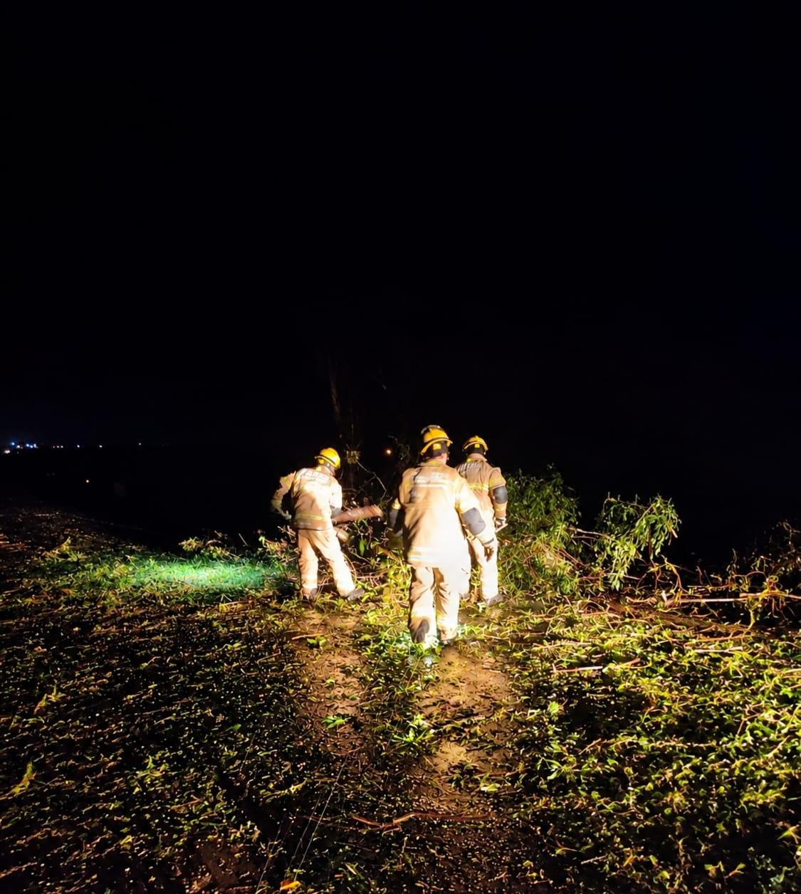&Aacute;rvores ca&iacute;ram sobre estradas na zona rural, interrompendo o tr&acirc;nsito