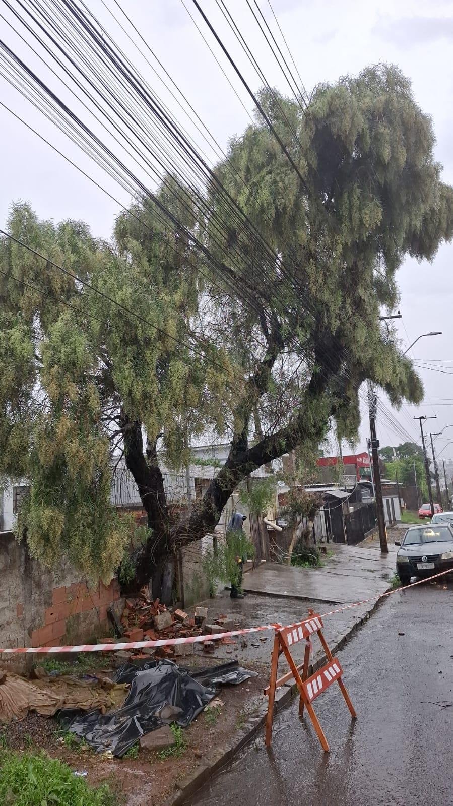 Em Passo Fundo, duas &aacute;rvores ca&iacute;ram sobre a fia&ccedil;&atilde;o el&eacute;trica