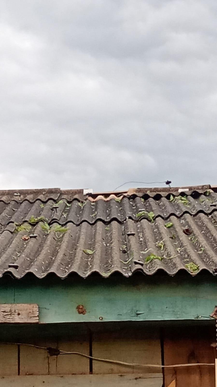 Conforme a Defesa Civil Municipal, duas resid&ecirc;ncias foram destelhadas com a for&ccedil;a do vendaval
