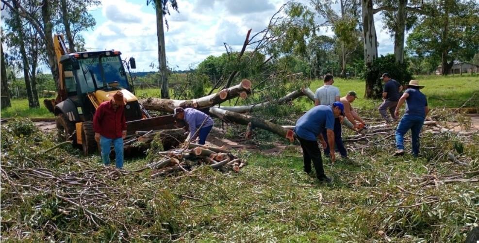 Casas foram destelhadas, estabelecimentos comerciais sofreram danos e in&uacute;meras &aacute;rvores ca&iacute;ram em diferentes pontos do munic&iacute;pio