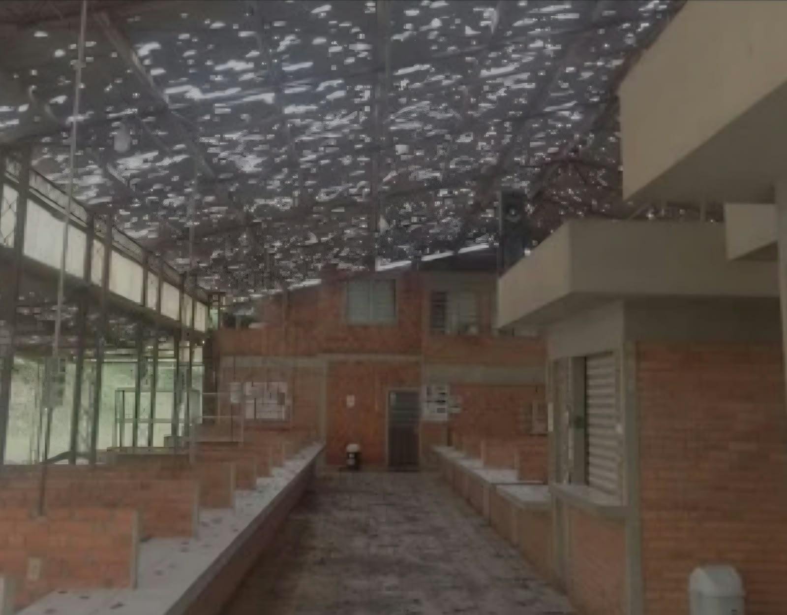 Se voltar a chover as atividades no Hortomercado Municipal devem ser suspensas novamente