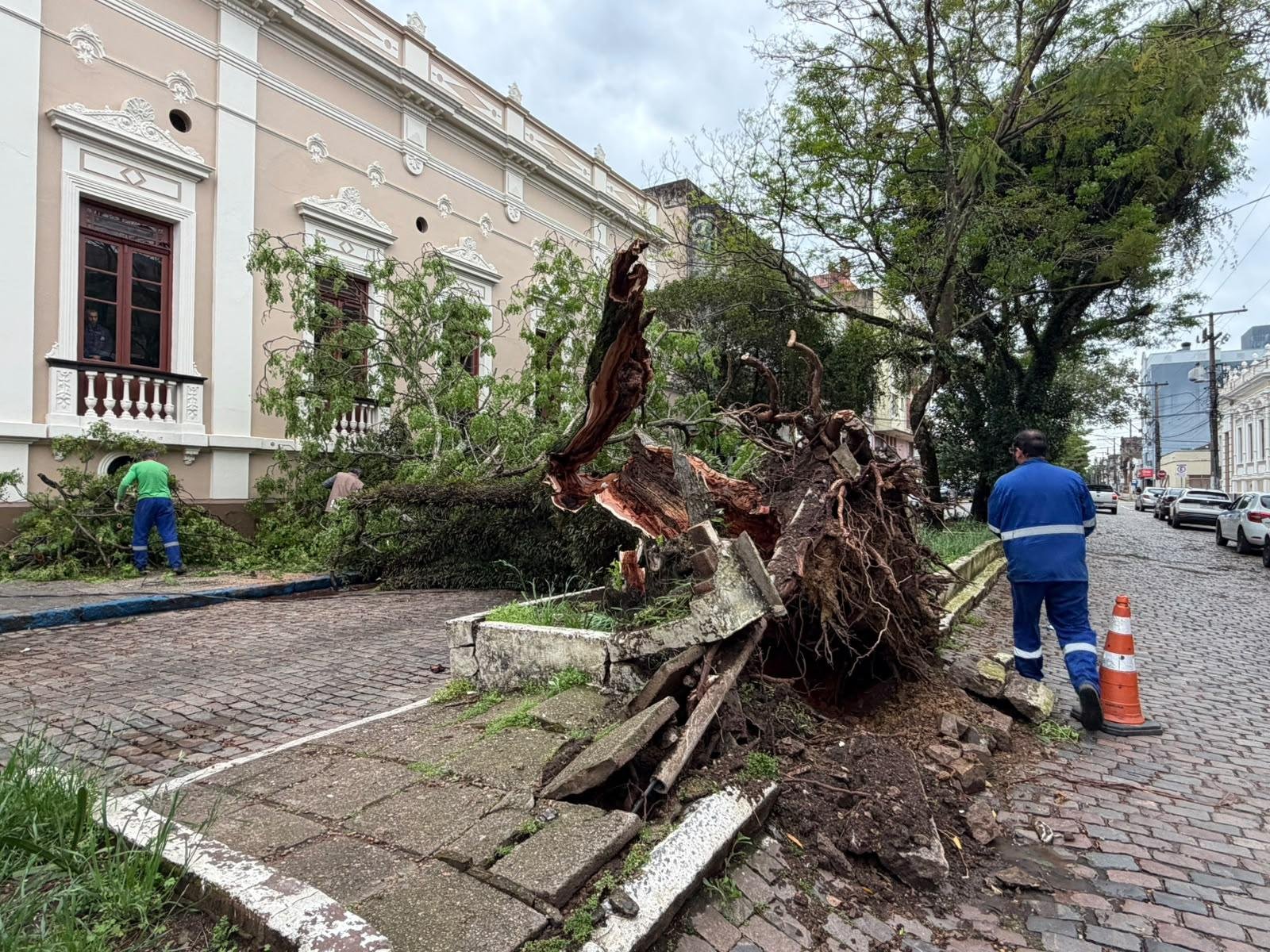 Foram contabilizadas 47 ocorr&ecirc;ncias de &aacute;rvores tombadas em decorr&ecirc;ncia dos fortes ventos