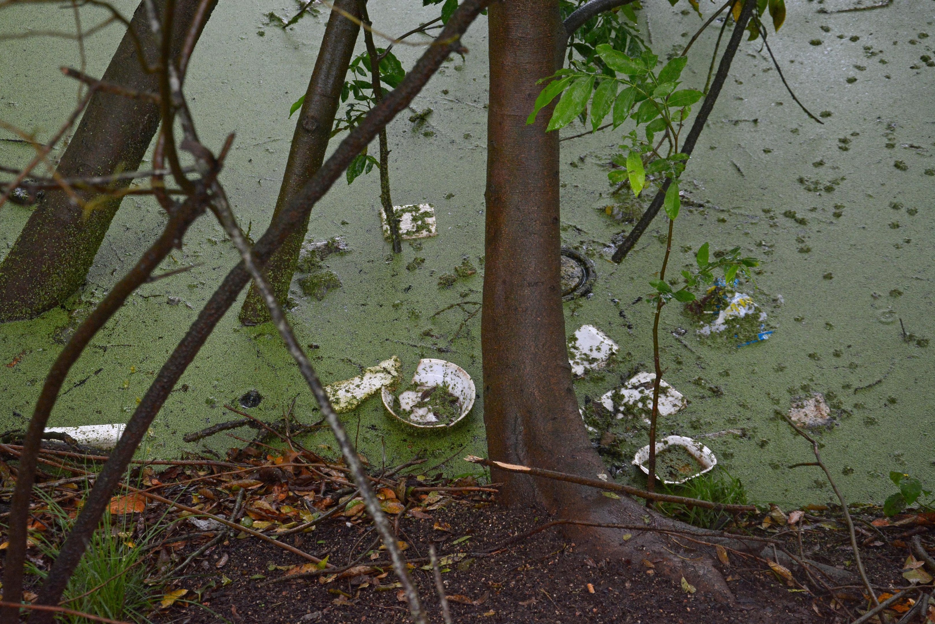Lixo no Parque Mascarenhas