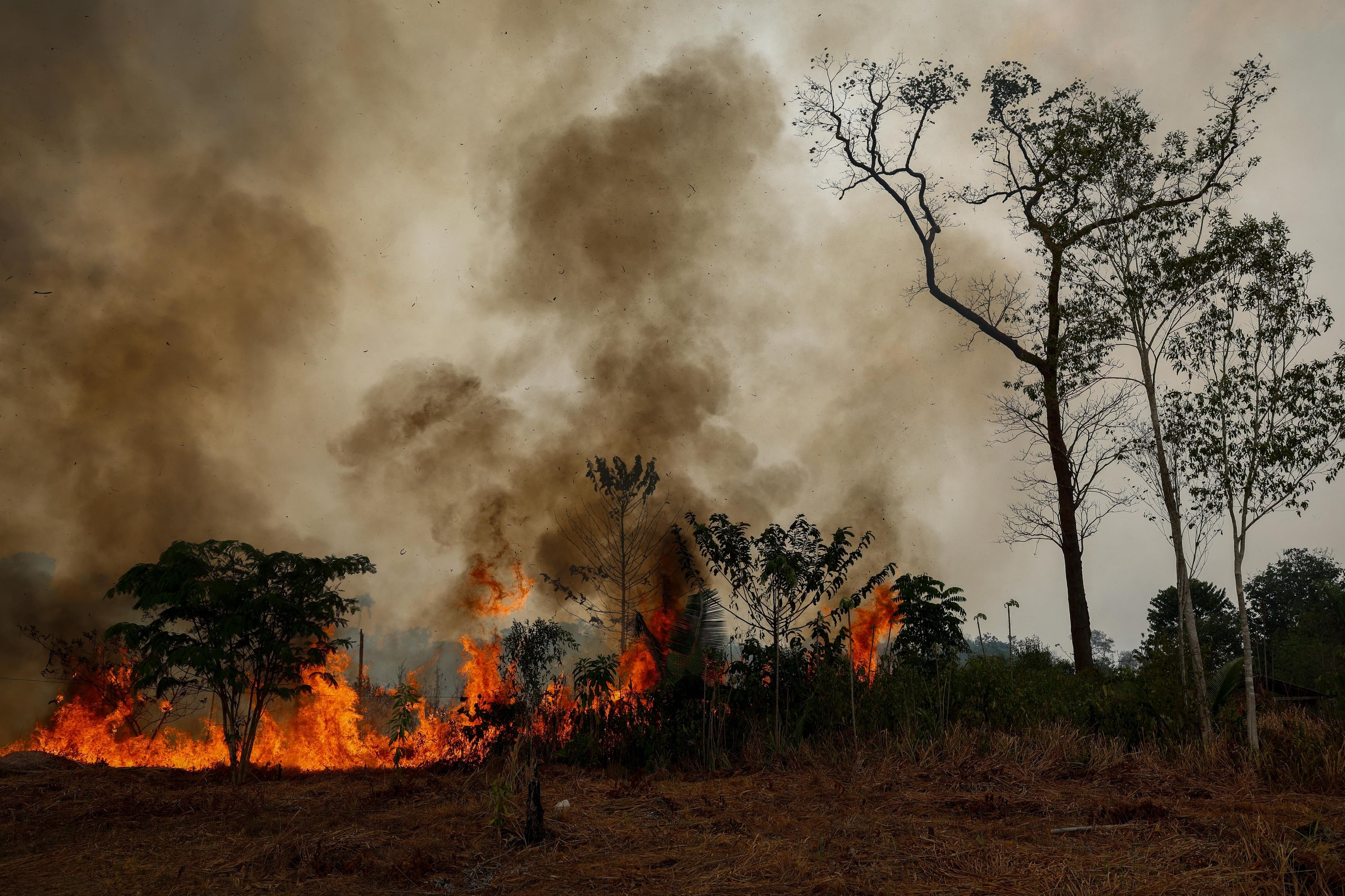 Queimadas no Amazonas quase quadruplicam