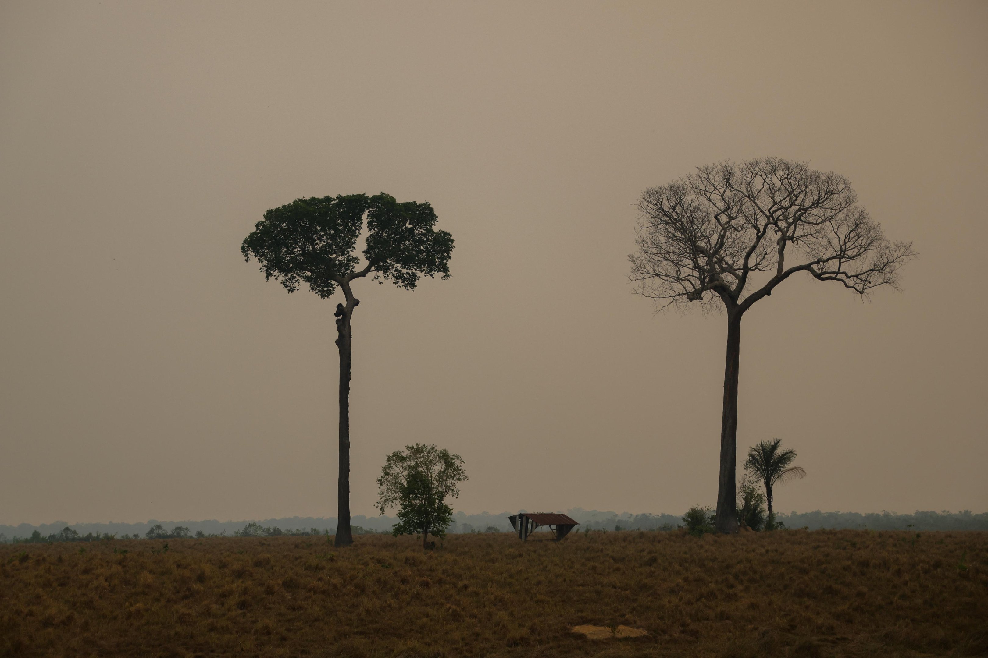 Estado registra alta de 271% nos focos de inc&ecirc;ndio em outubro