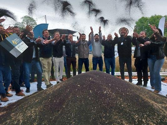 Proje&ccedil;&otilde;es indicam crescimento de aproximadamente 100% na &aacute;rea cultivada e na produ&ccedil;&atilde;o em rela&ccedil;&atilde;o a 2025