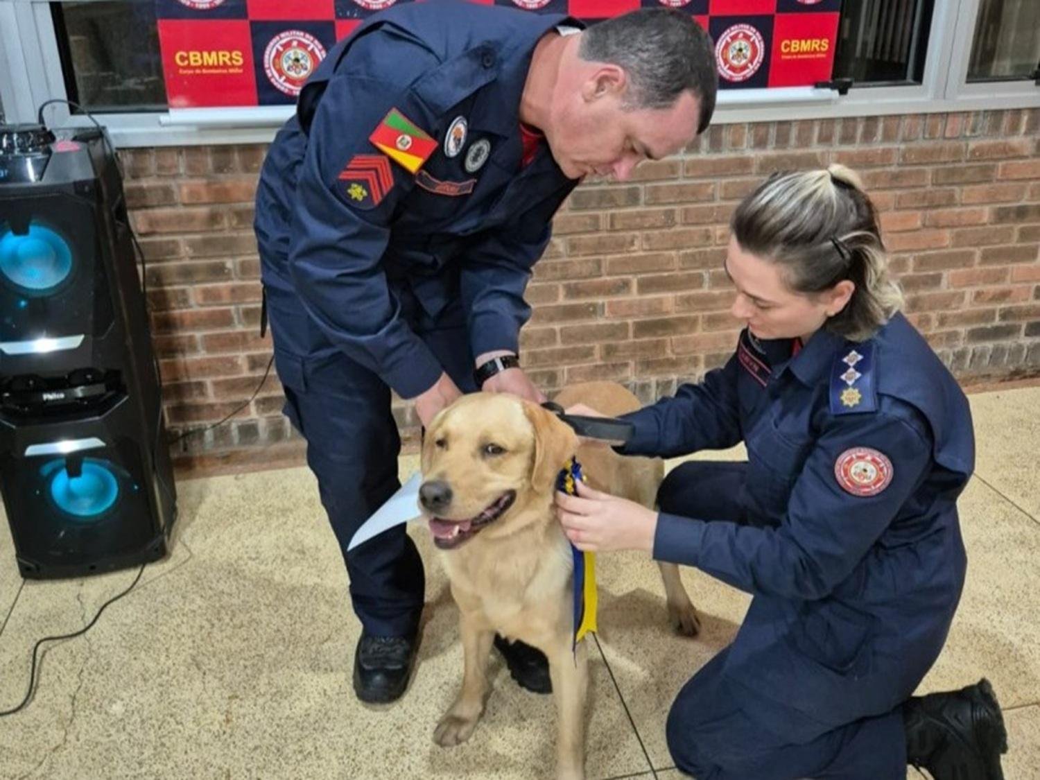 C&atilde;o de busca recebe certificado