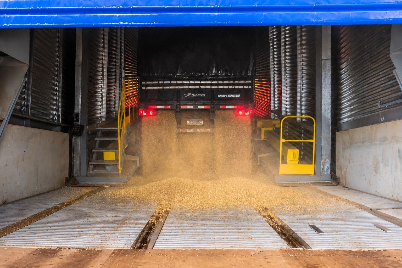 Cereal ser&aacute; armazenado at&eacute; a conclus&atilde;o das obras da planta, prevista para dezembro deste ano