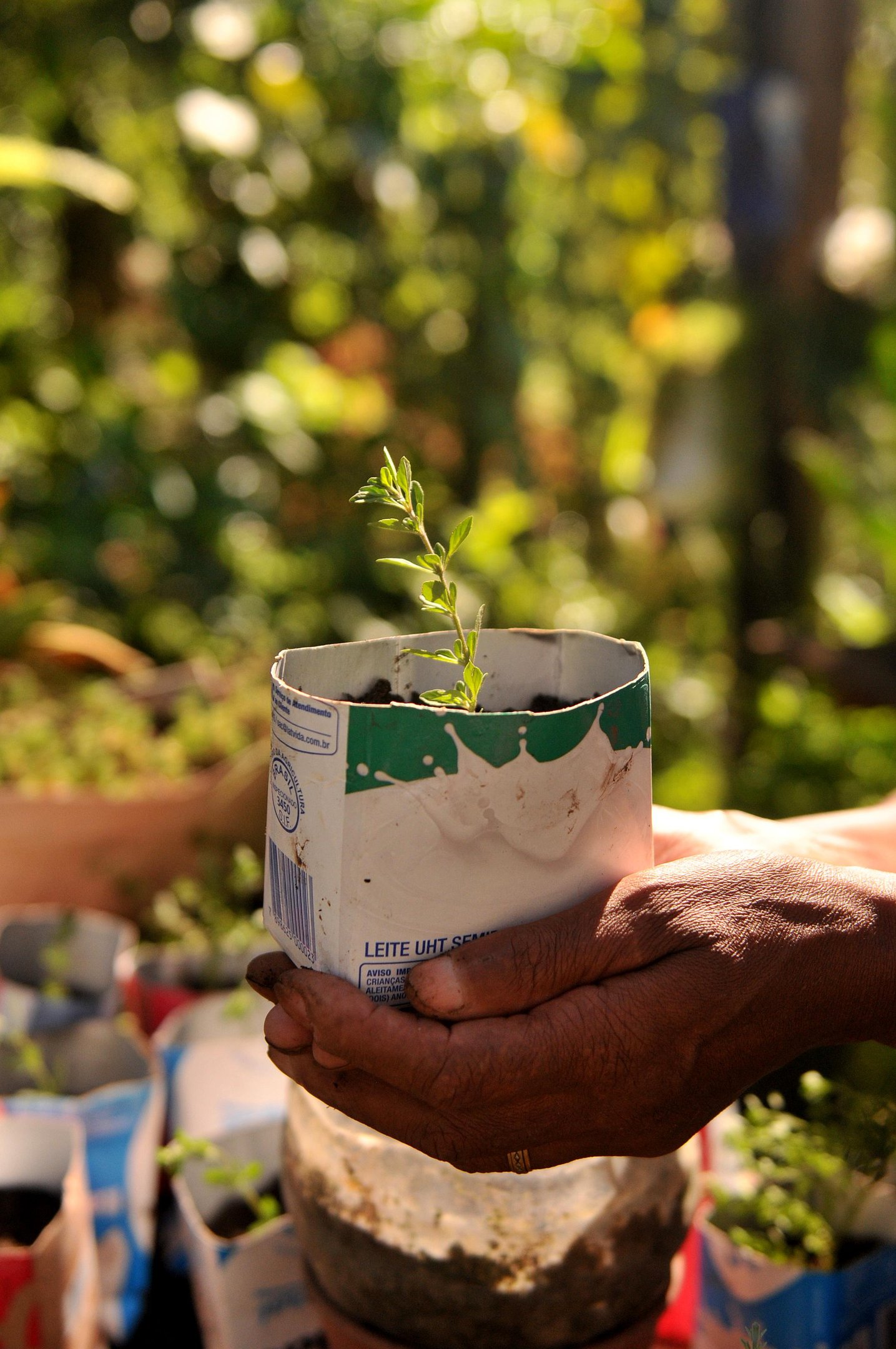 Agricultores iniciam entregas para Programa Municipal de Aquisição de Alimentos
