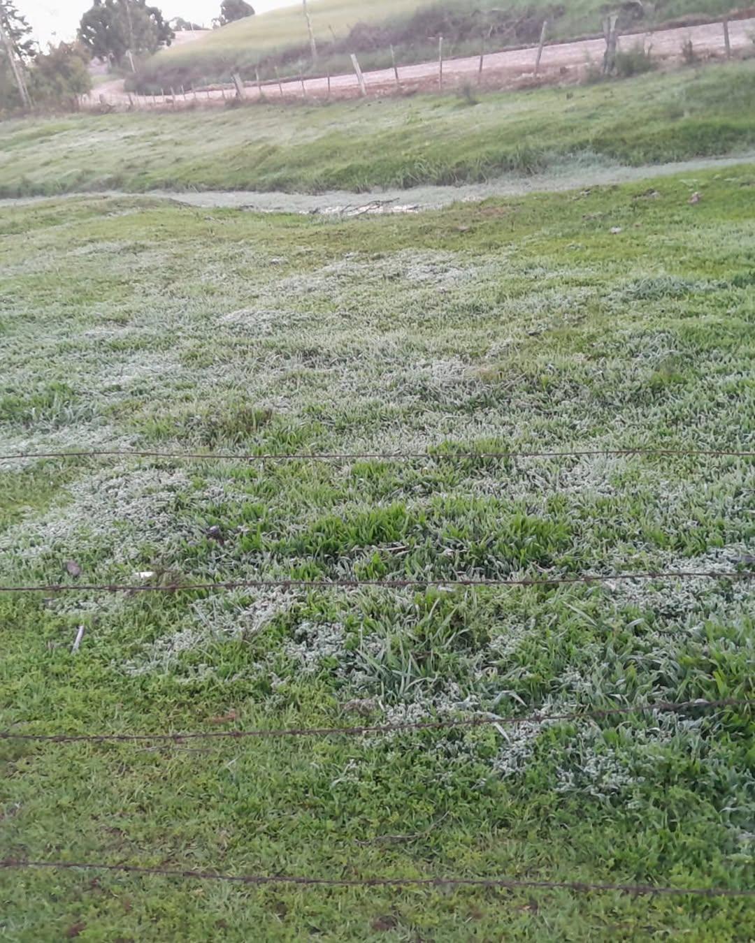 Em Soledade, que registrou -1,2&ordm;C nesta segunda-feira, os campos amanheceram cobertos de geada