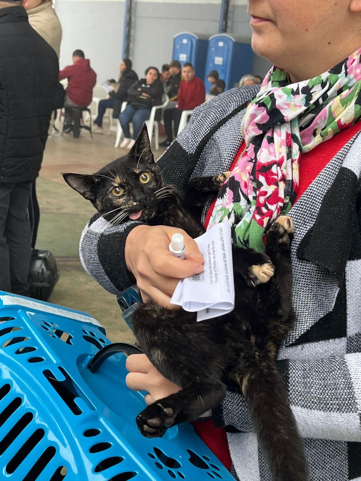 Para participar, &eacute; necess&aacute;rio residir em Parob&eacute;, possuir um c&atilde;o ou gato sem ra&ccedil;a definida e pertencer a uma fam&iacute;lia com renda total de at&eacute; tr&ecirc;s sal&aacute;rios m&iacute;nimos