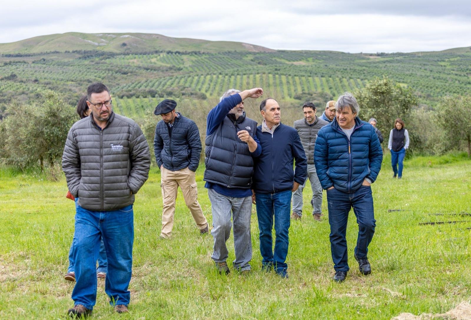COI discute estabilidade da produção e controle de azeites na terceira visita ao Brasil