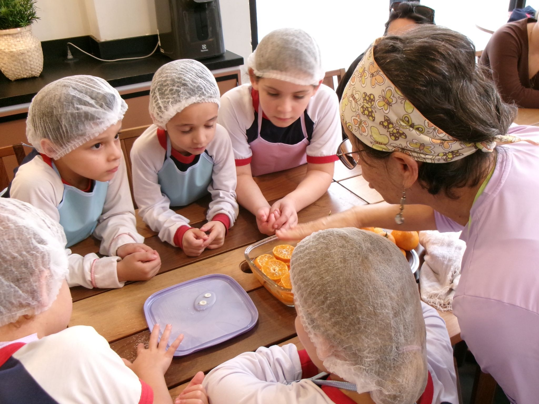 Cozinha Experimental aproxima estudantes do ciclo dos alimentos