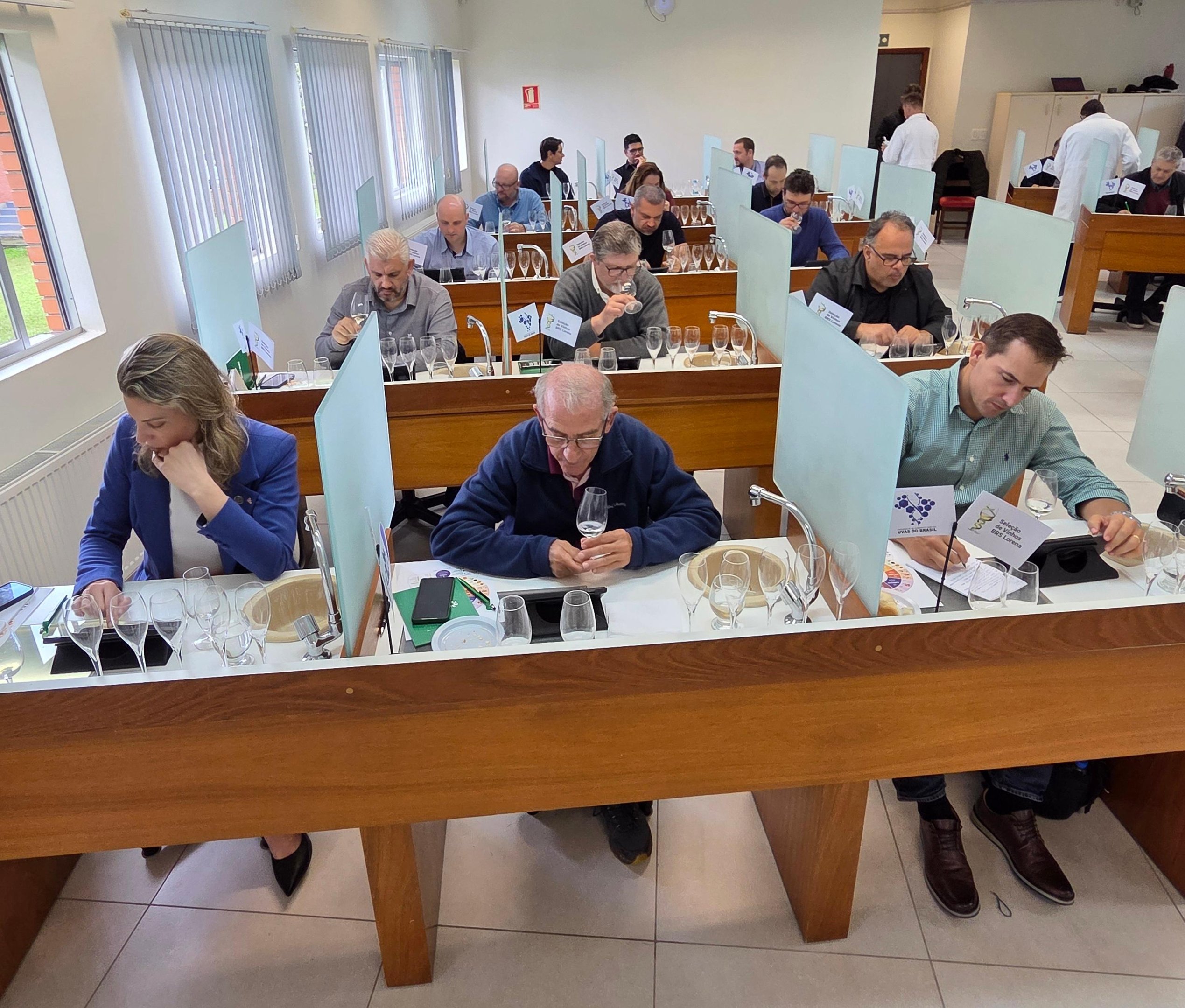 2ª Seleção de Vinhos BRS Lorena ressalta o valor da cultivar brasileira