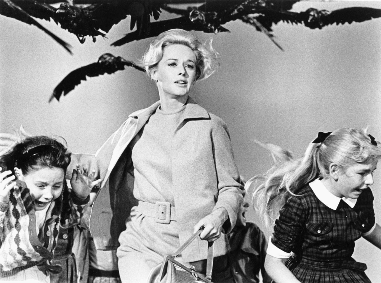 "Os P&aacute;ssaros", dirigido por Alfred Hitchcock, &eacute; um dos marcos do cinema de horror americano