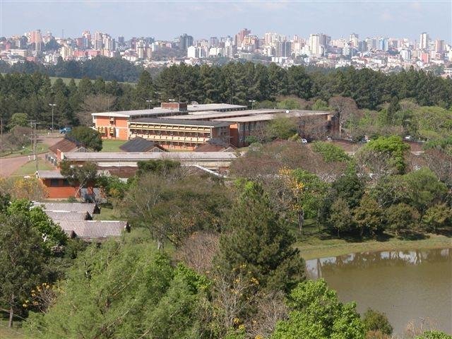 Embrapa Trigo completa 52 anos de pesquisa e inovação