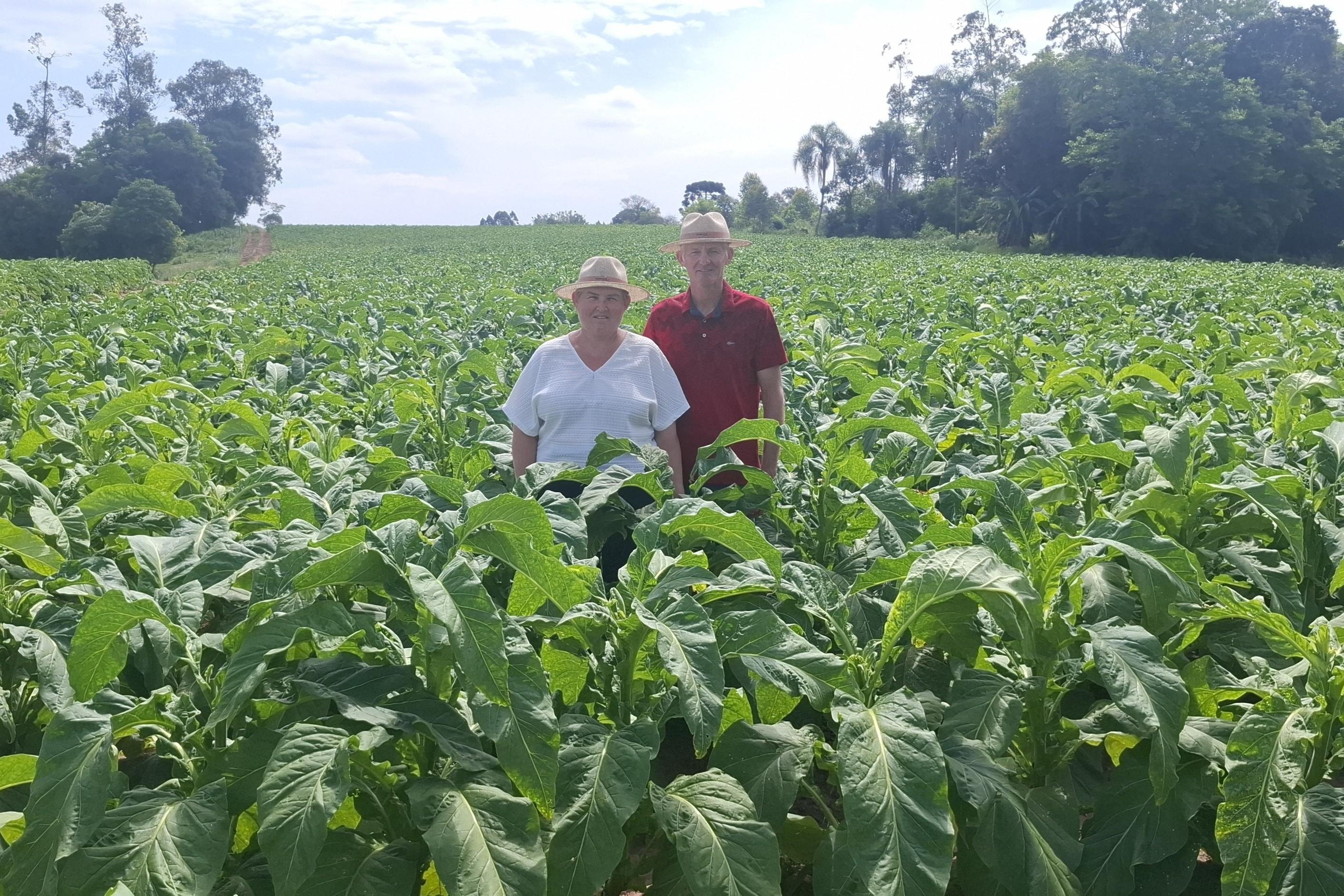 Família que sedia a Abertura da Colheita do Tabaco investe também na diversificação