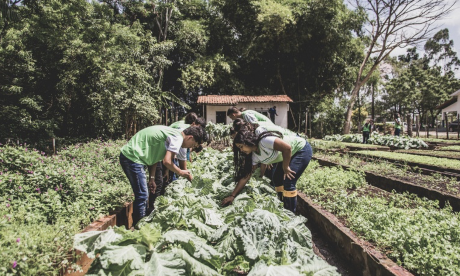 Nova resolução aprimora a alimentação escolar