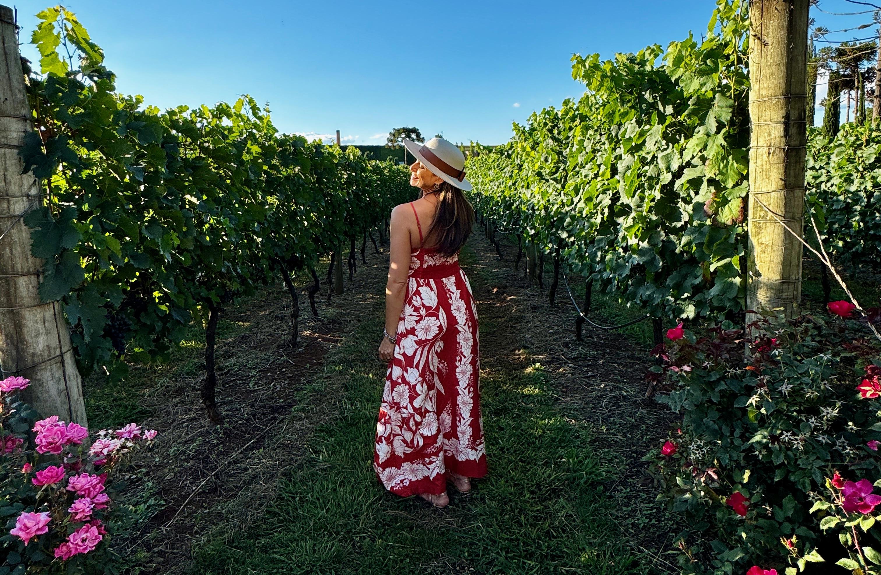 Vin&iacute;cola Campestre tem programa&ccedil;&atilde;o de enoturismo completa