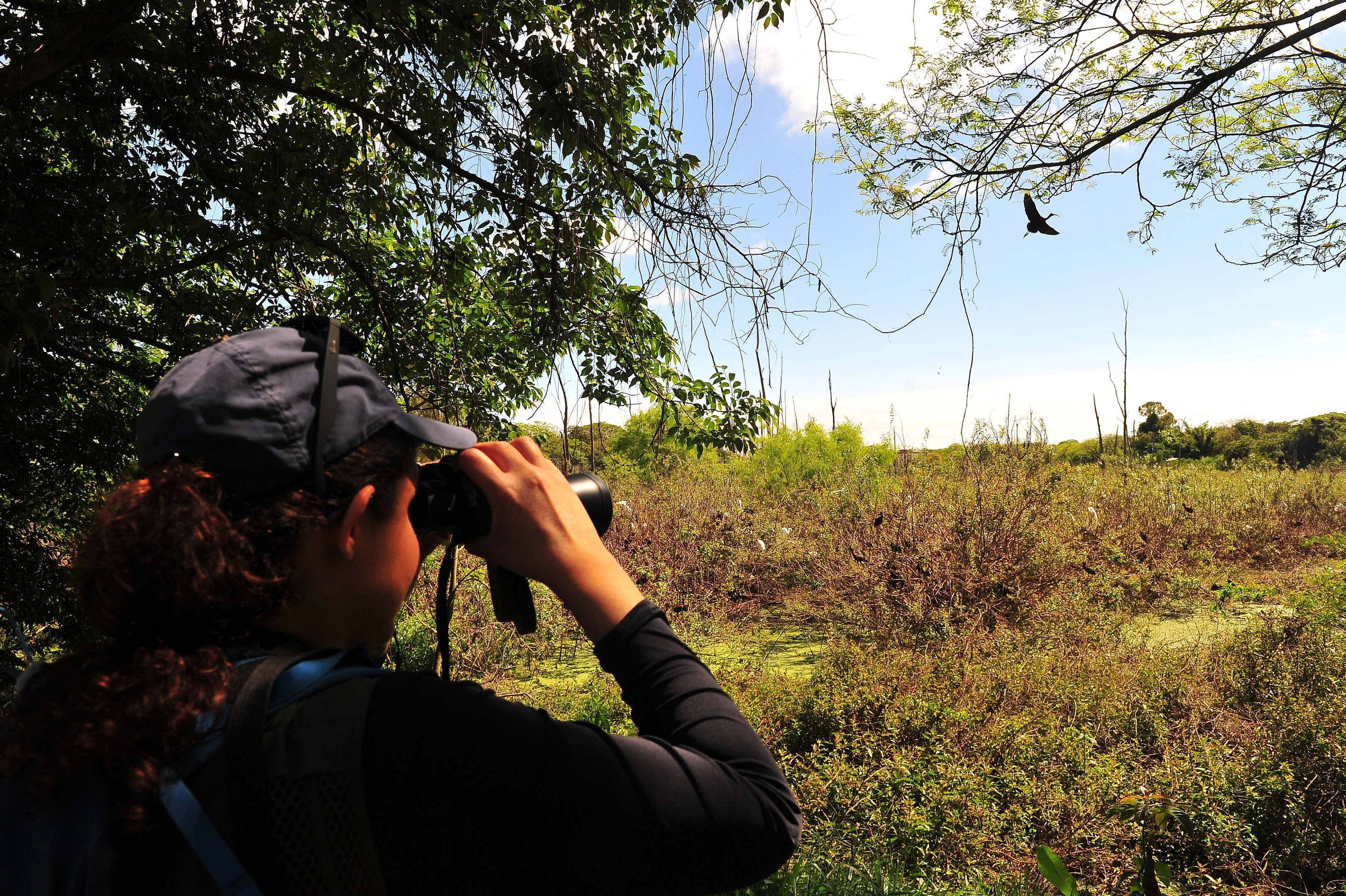 Mutirão recolhe lixo e promove observação de aves no Parque Mascarenhas de Moraes, em Porto Alegre
