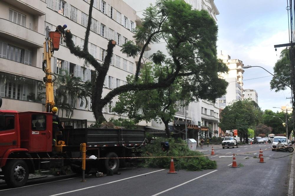 Uma &aacute;rvore caiu na rua 24 de Outubro, no bairro Independ&ecirc;ncia, em Porto Alegre