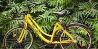 Bikes da Yellow poderão ser deixadas em qualquer ponto dentro do raio de atuação do serviço