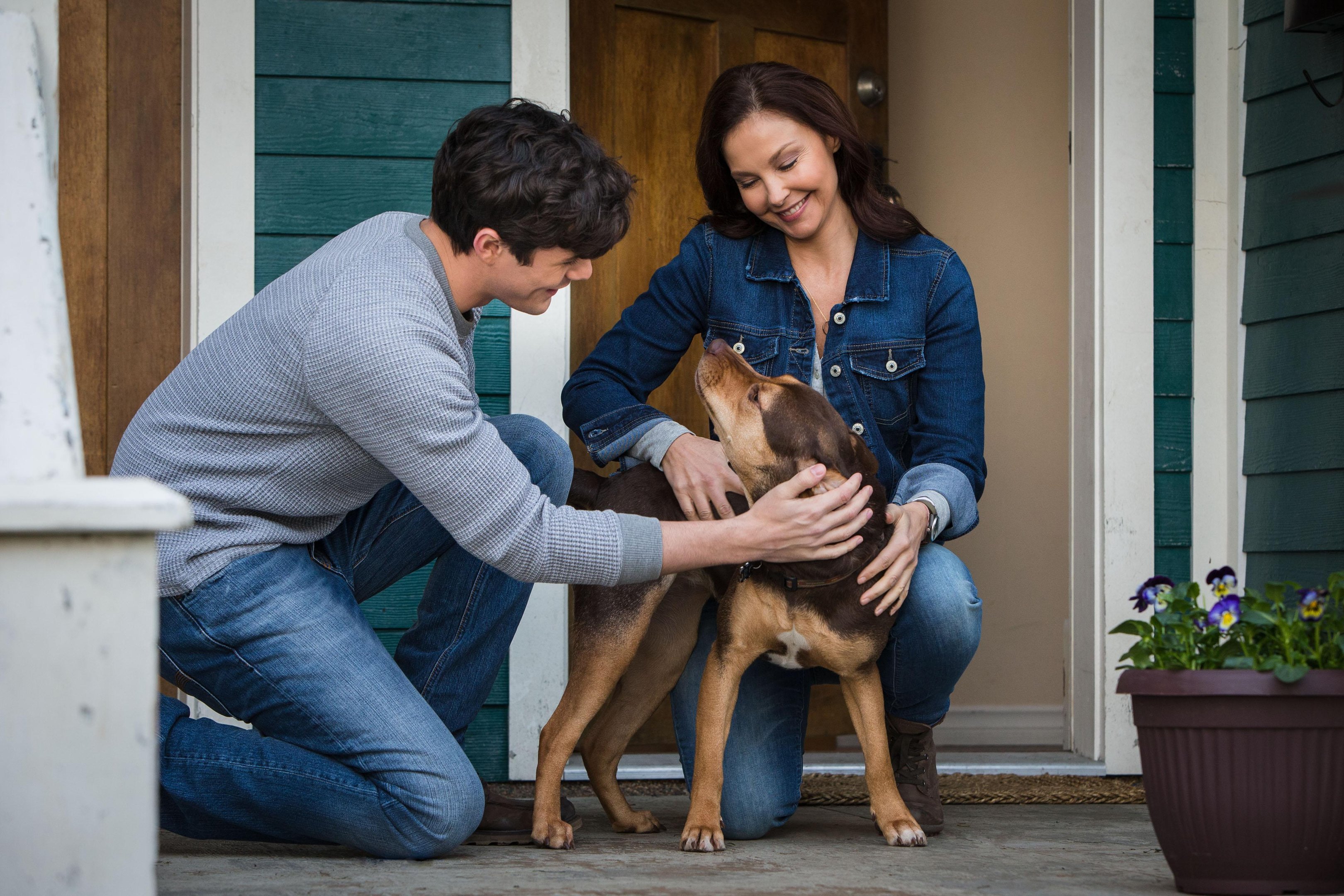 Produ&ccedil;&atilde;o aposta na rela&ccedil;&atilde;o de empatia com os animais