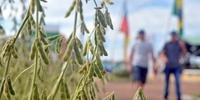 Conjuntura mundial para o mercado da soja vai estar em pauta durante o fórum nacional dedicado à cultura, que ocorre na terça-feira