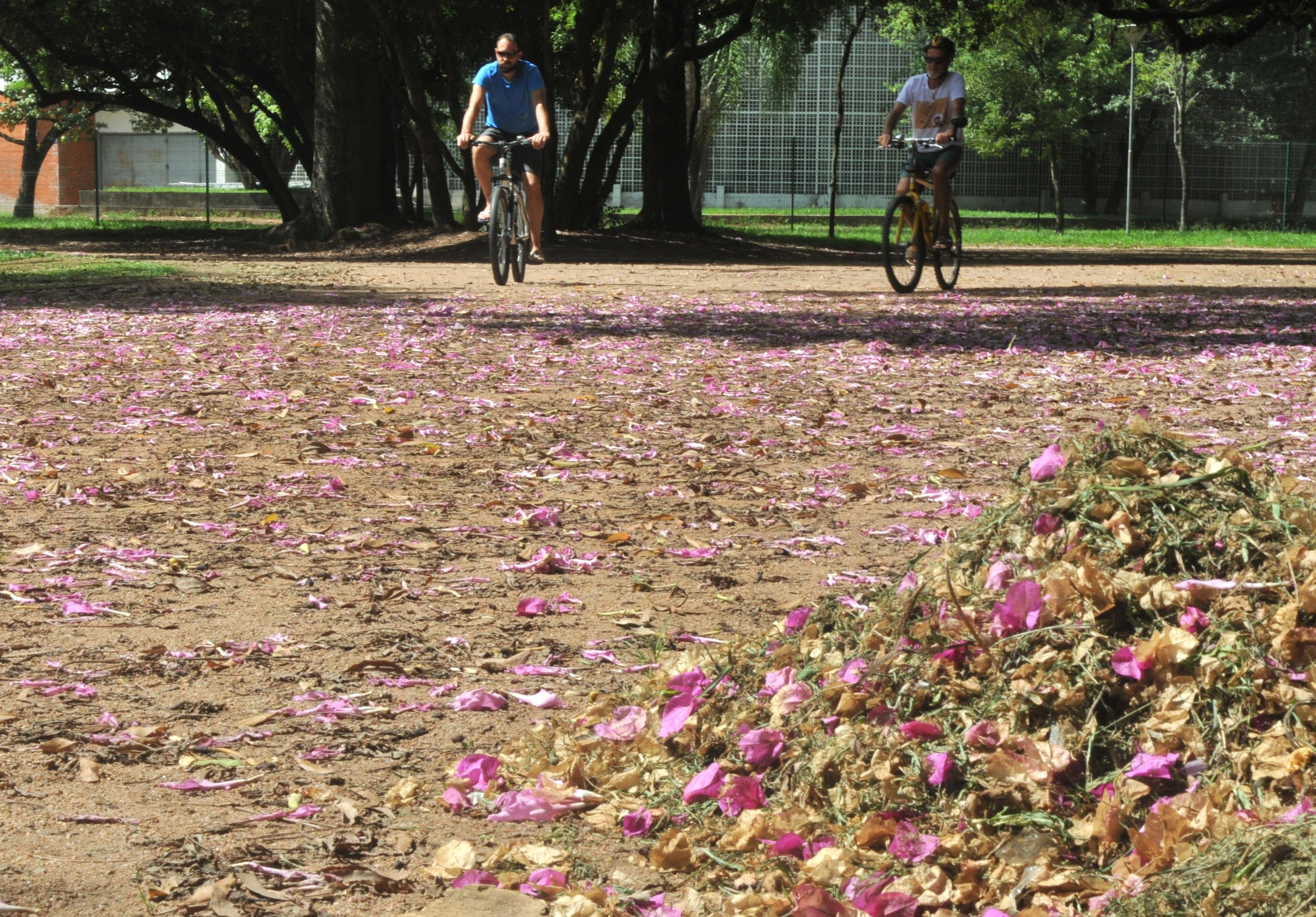 Outono no Hemisf&eacute;rio Sul come&ccedil;a &agrave;s 18h58min desta quarta-feira e termina &agrave;s 12h54min do dia 21 de junho