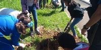 Estudantes plantaram mudas de árvores