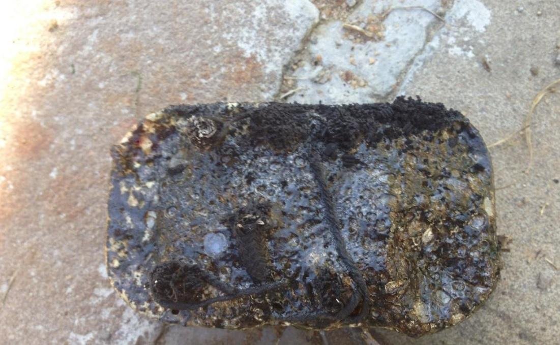 Artefato incendi&aacute;rio foi encontrado no bairro Ipanema, em Porto Alegre