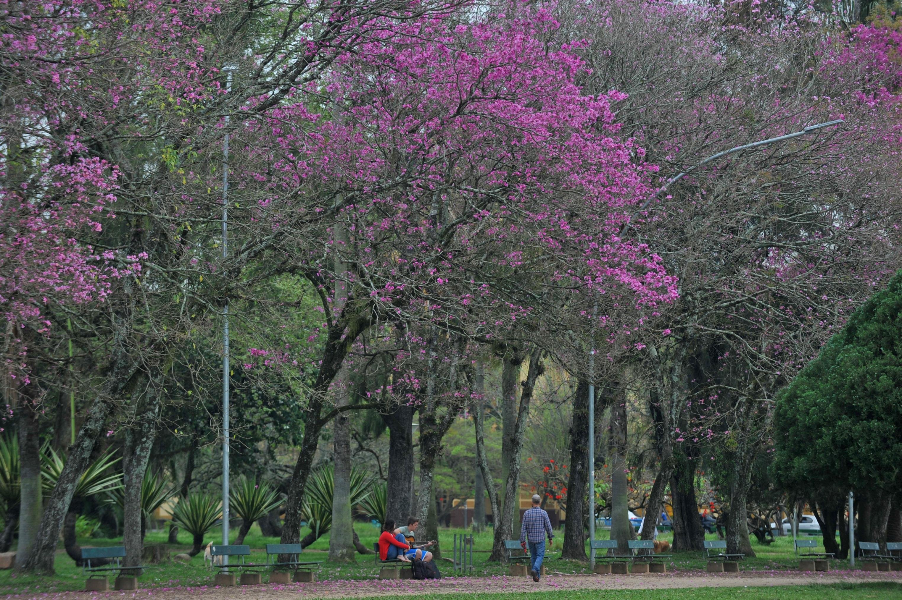 Projeto da Prefeitura que autoriza a concess&atilde;o de parques e pra&ccedil;as &agrave; iniciativa privada foi aprovado