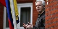 Relatora da entidade considera que Assange é submetido a 