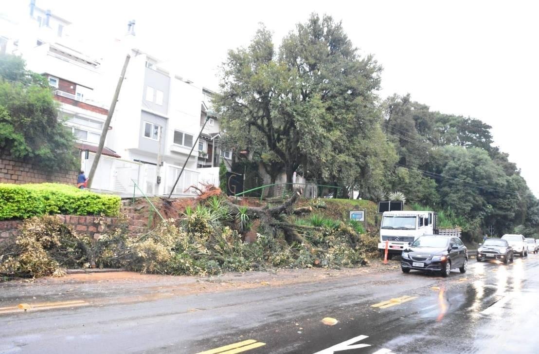 Forte precipita&ccedil;&atilde;o resultou em alagamentos em diversas &aacute;reas da Capital e na queda de &aacute;rvores