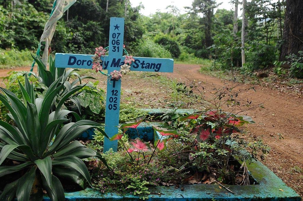 Regivaldo Galv&atilde;o, o Tarad&atilde;o, foi condenado a 30 anos de reclus&atilde;o no dia 30 de abril de 2010, como mandante do assassinato de Dorothy Stang