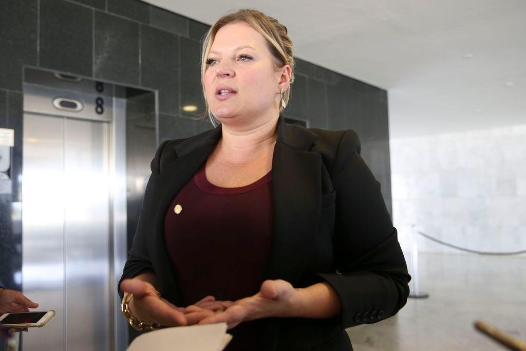 Para Hasselmann, qualquer ponto pode ser alterado desde que se mantenha "espinha dorsal" da proposta