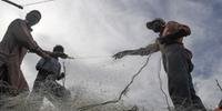 Para ONGs, é preciso combater pesca ilegal