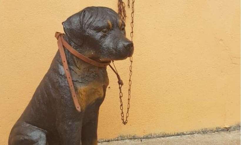 Imagem chamou a aten&ccedil;&atilde;o de vizinhos que denunciaram &agrave; Pol&iacute;cia Militar