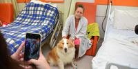 Pacientes receberam a visita da cachorra Bia nesta sexta-feira