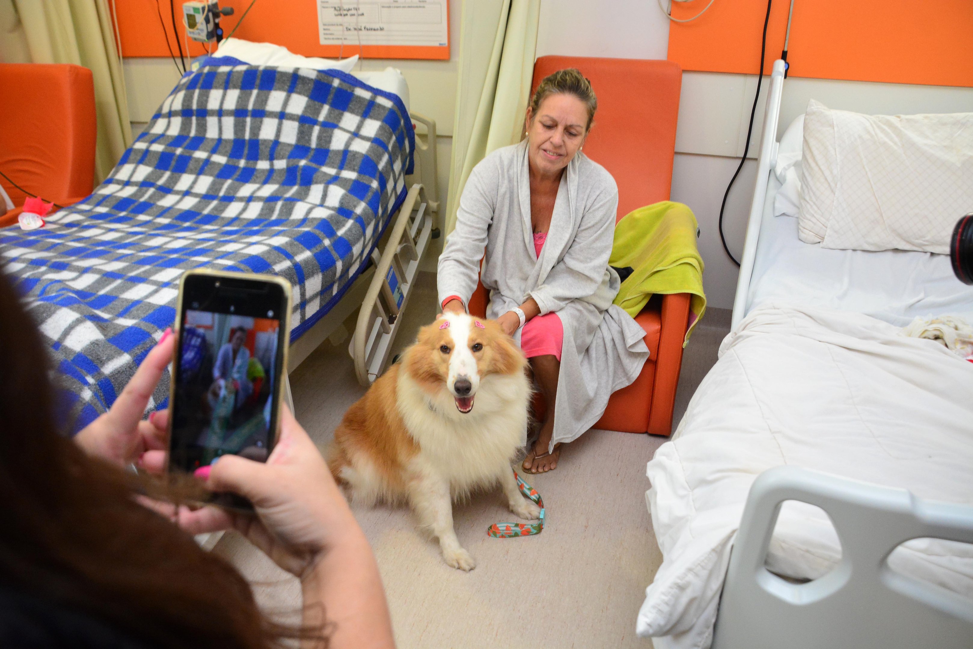 Pacientes receberam a visita da cachorra Bia nesta sexta-feira