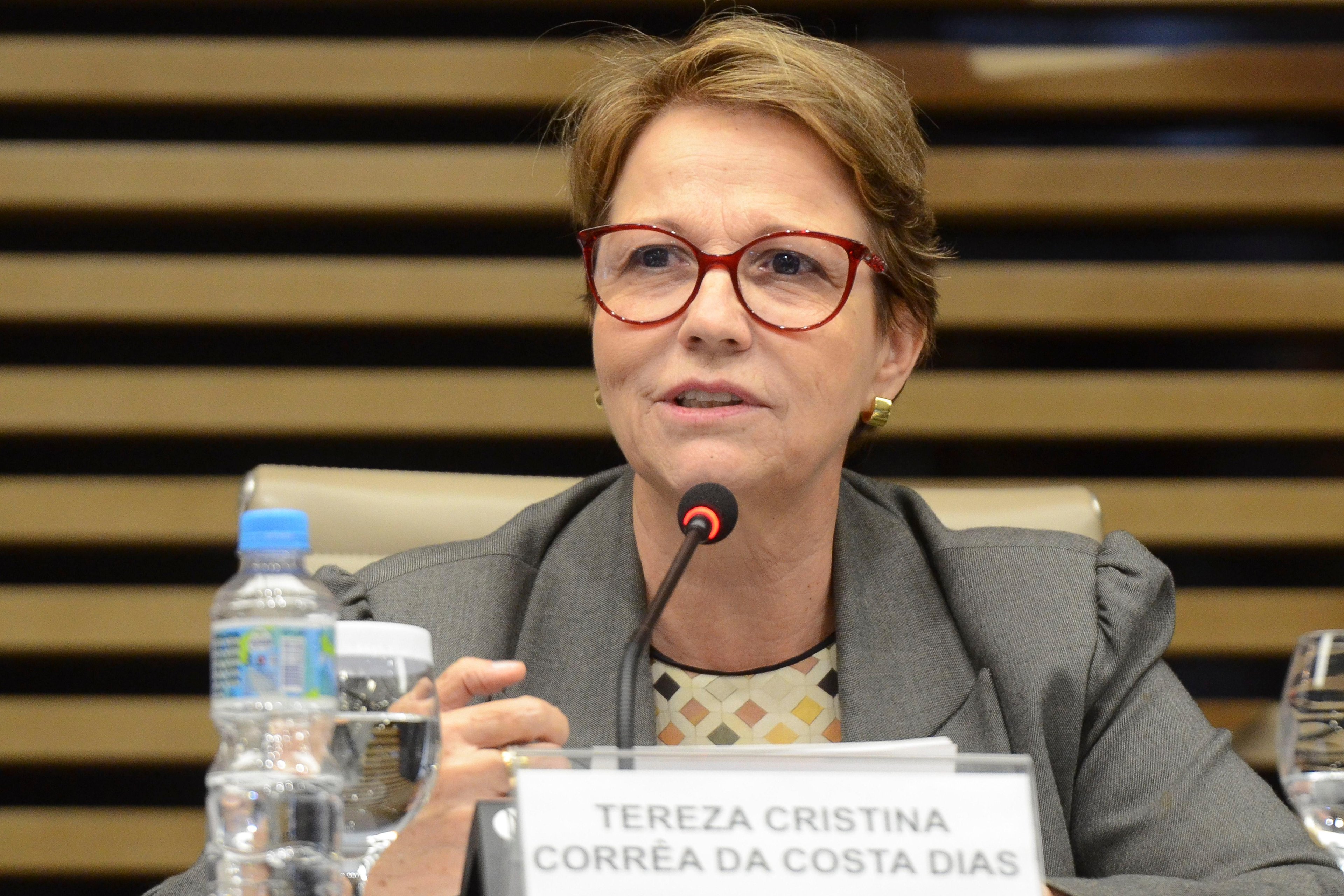 Ministra da Agricultura Tereza Cristina representou o Brasil em encontro realizado em Niigata, no Jap&atilde;o