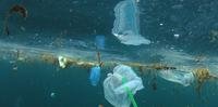 Regras relativas aos plásticos descartáveis e artes de pesca preveem diferentes medidas aplicadas a diferentes artigos, colocando a UE na vanguarda da luta global contra o lixo marinho