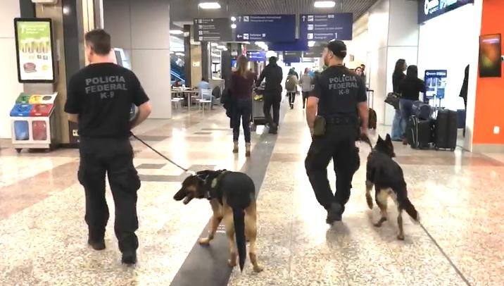 Agentes da PF, com c&atilde;es farejadores, j&aacute; atuam no Porto Alegre Airport-Aeroporto Internacional Salgado Filho