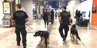 Agentes da PF, com cães farejadores, já atuam no Porto Alegre Airport-Aeroporto Internacional Salgado Filho