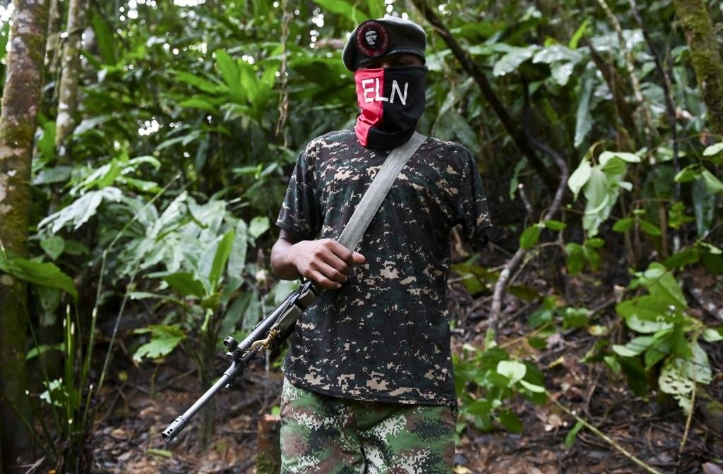 Segundo parlamentar, guerrilheiros ELN, paramilitares colombianos e "coletivos" operam na &aacute;rea