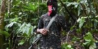 Segundo parlamentar, guerrilheiros ELN, paramilitares colombianos e 