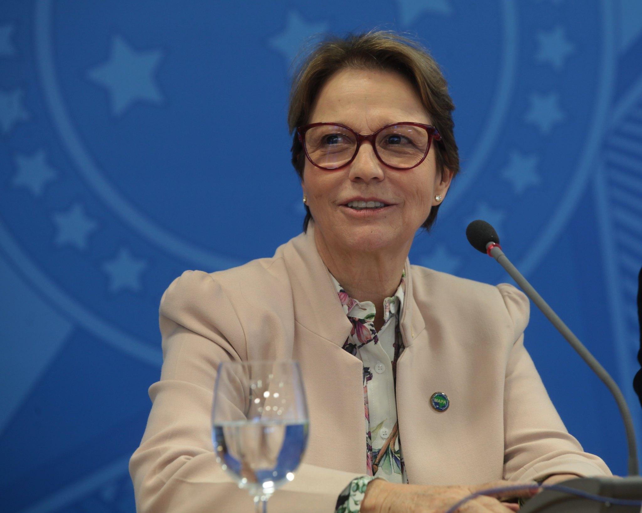 Tereza Cristina refor&ccedil;a rela&ccedil;&atilde;o do Brasil com a China em rela&ccedil;&atilde;o &agrave; Agricultura