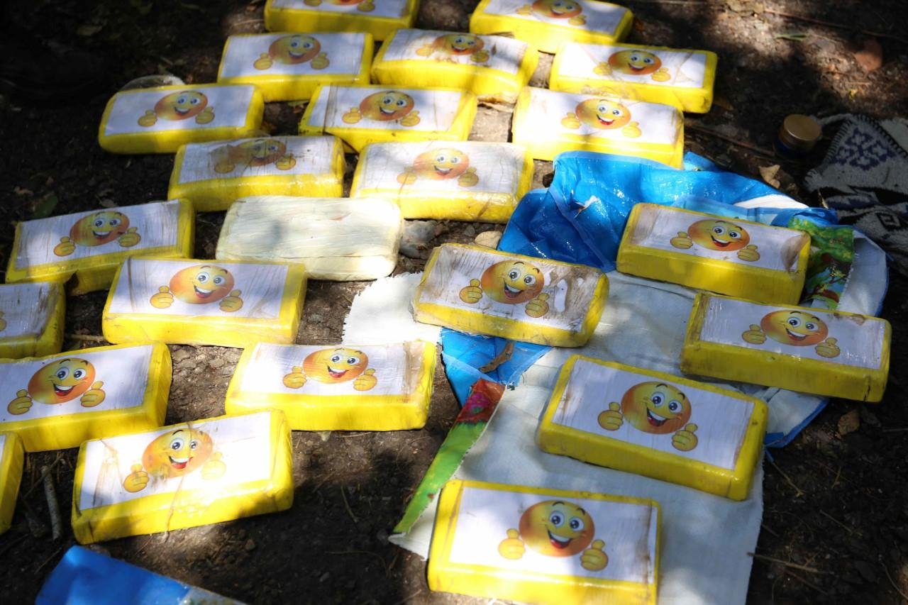 Valor da coca&iacute;na apreendida &eacute; estimado em R$ 700 mil