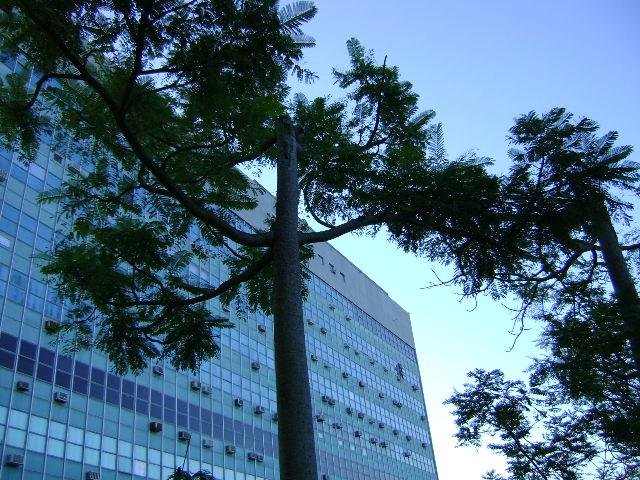 Das 150 institui&ccedil;&otilde;es brasileiras participantes, 52 s&atilde;o ga&uacute;chas